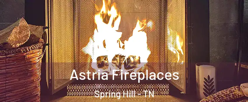 Astria Fireplaces Spring Hill - TN