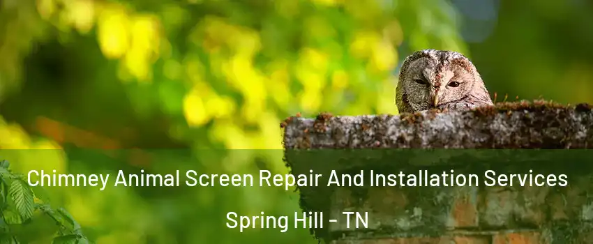  Chimney Animal Screen Repair And Installation Services Spring Hill - TN
