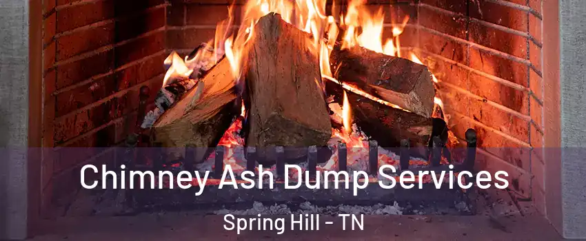  Chimney Ash Dump Services Spring Hill - TN
