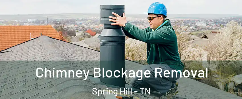  Chimney Blockage Removal Spring Hill - TN