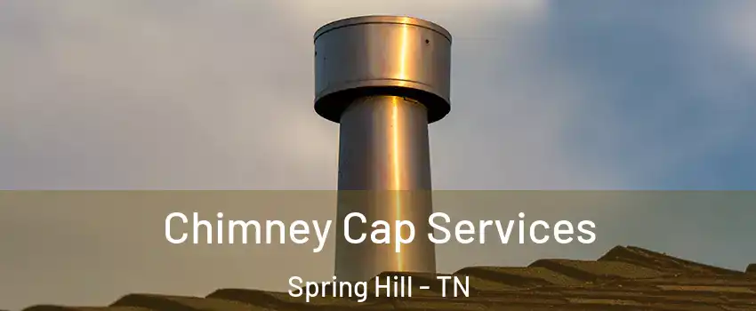  Chimney Cap Services Spring Hill - TN