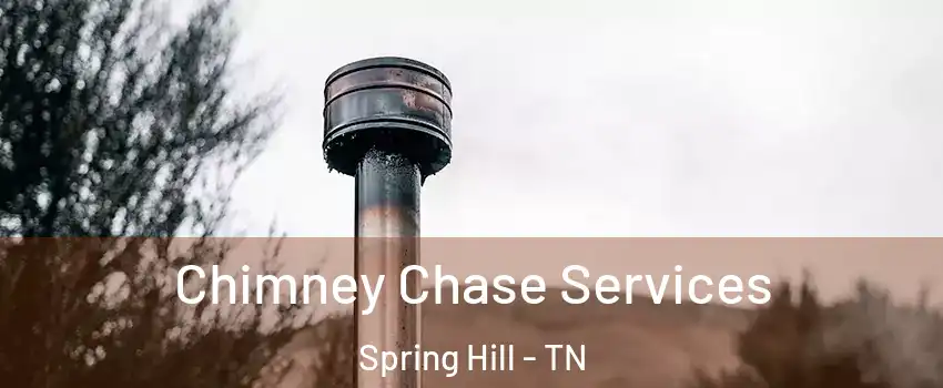  Chimney Chase Services Spring Hill - TN