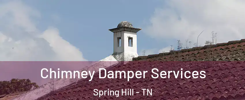  Chimney Damper Services Spring Hill - TN