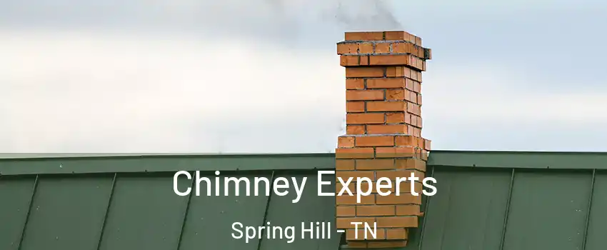 Chimney Experts Spring Hill - TN
