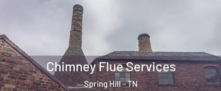  Chimney Flue Services Spring Hill - TN