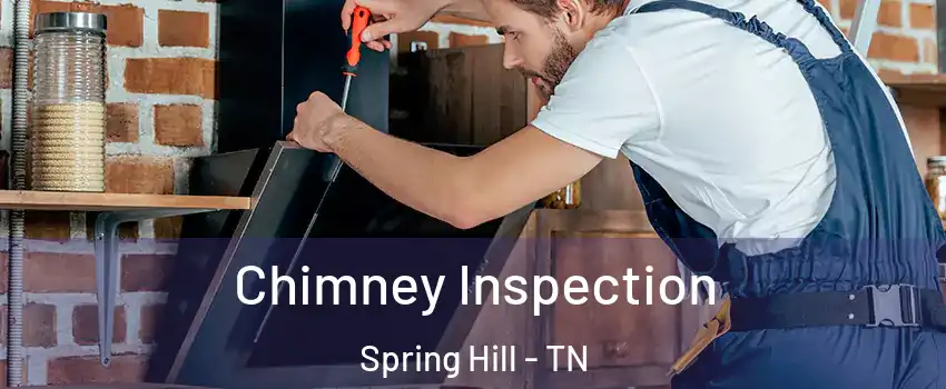  Chimney Inspection Spring Hill - TN
