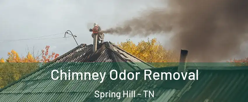  Chimney Odor Removal Spring Hill - TN