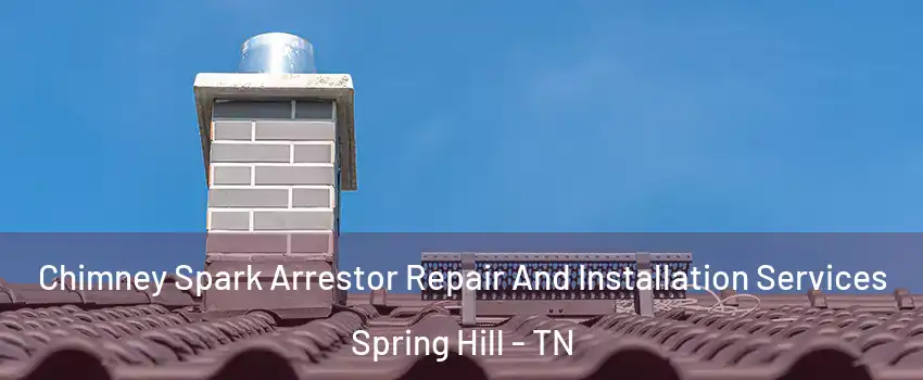  Chimney Spark Arrestor Repair And Installation Services Spring Hill - TN