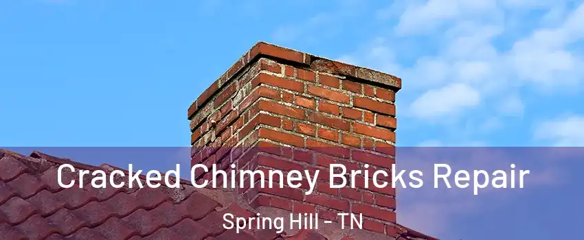  Cracked Chimney Bricks Repair Spring Hill - TN