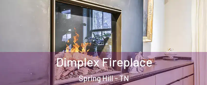  Dimplex Fireplace Spring Hill - TN