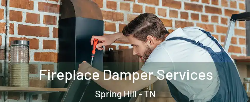  Fireplace Damper Services Spring Hill - TN