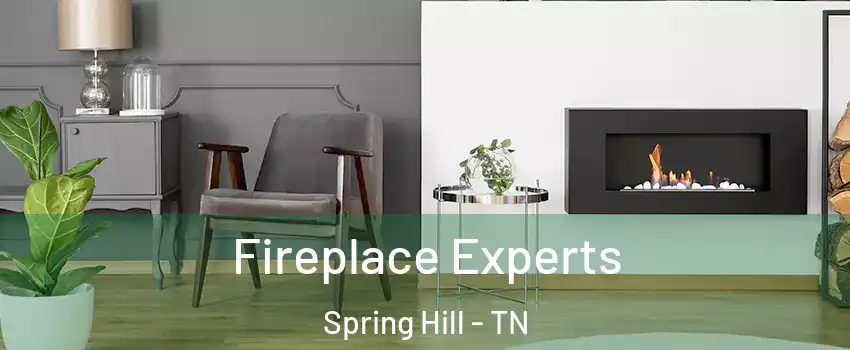  Fireplace Experts Spring Hill - TN
