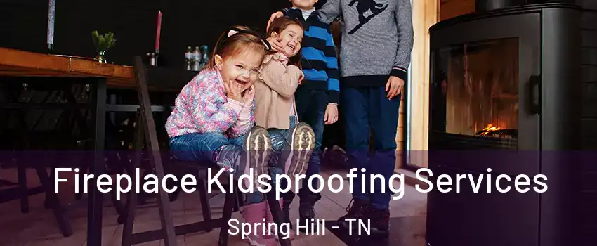  Fireplace Kidsproofing Services Spring Hill - TN