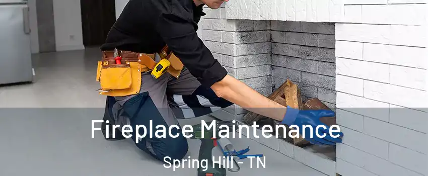 Fireplace Maintenance Spring Hill - TN