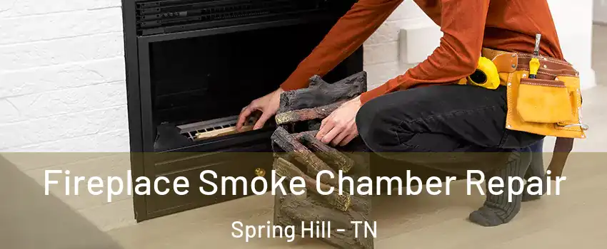  Fireplace Smoke Chamber Repair Spring Hill - TN