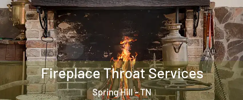  Fireplace Throat Services Spring Hill - TN