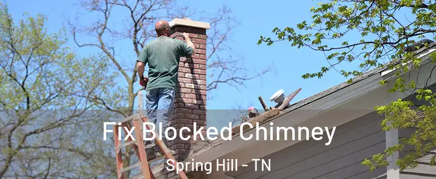  Fix Blocked Chimney Spring Hill - TN