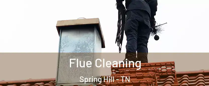  Flue Cleaning Spring Hill - TN