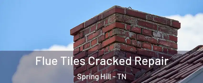  Flue Tiles Cracked Repair Spring Hill - TN