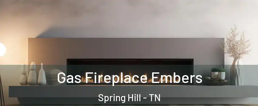  Gas Fireplace Embers Spring Hill - TN