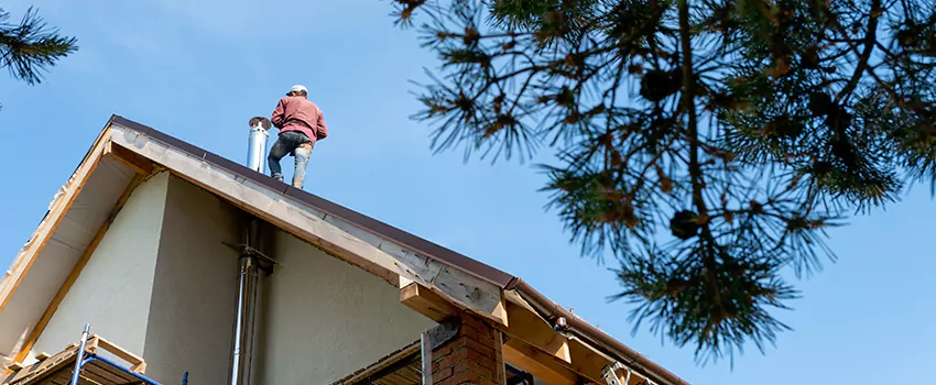 Birds Removal Contractors from Chimney in Spring Hill, TN