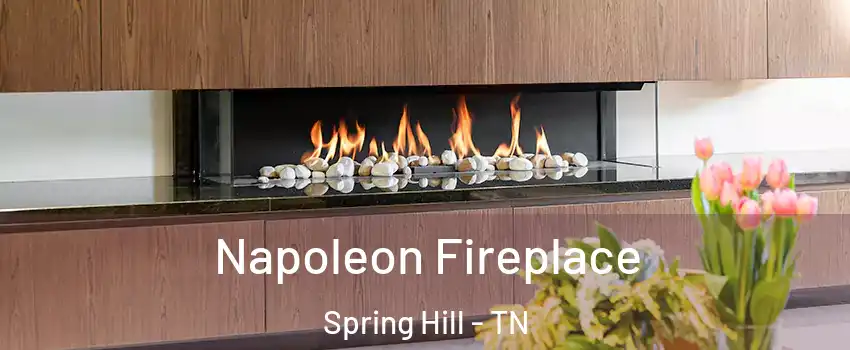  Napoleon Fireplace Spring Hill - TN