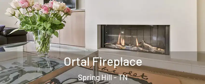 Ortal Fireplace Spring Hill - TN