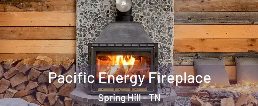  Pacific Energy Fireplace Spring Hill - TN